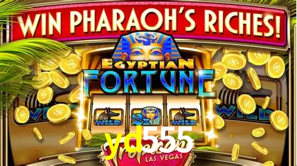 Live Casino yd555