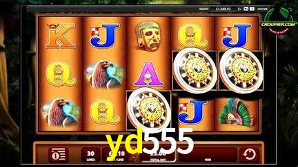 VIP Casino yd555