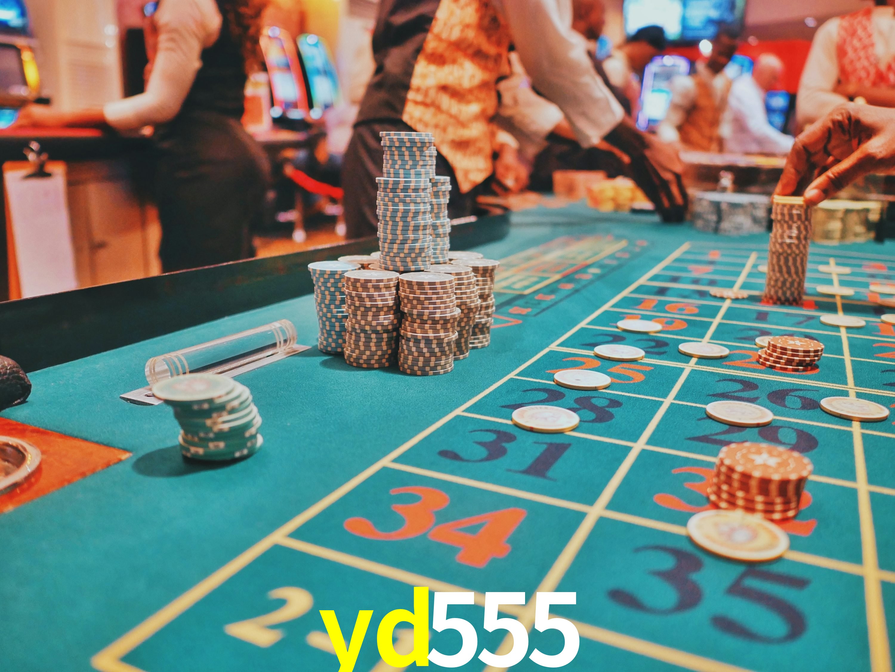 Sports Statistics yd555